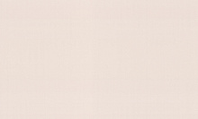 Палитра Trend Color TC72251-25
