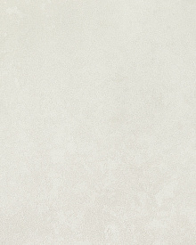 Elysium Lunaria E106406