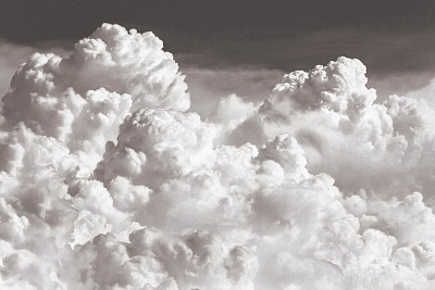 Фотообои Euphoria-2019: 24, EUPHORIA-2019, Wall street Фотообои Euphoria-2019: 24, EUPHORIA-2019, Wall street