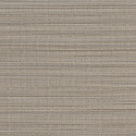 W06 50534