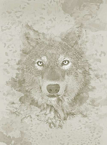 Фотообои волк Divino Decor Фотопанно 2-х полосные H-035